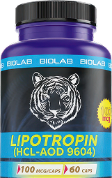 Peptides for weight loss